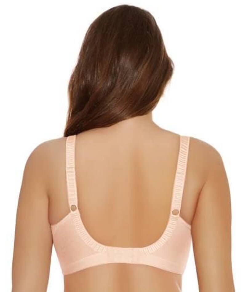 Elomi Cate Soft Cup Bra - Latte Bras